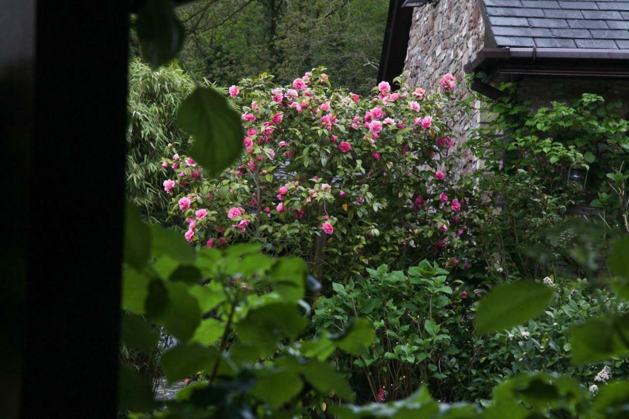 Ty Carreg Fach Staycation Cottage Cardiff Exterior foto